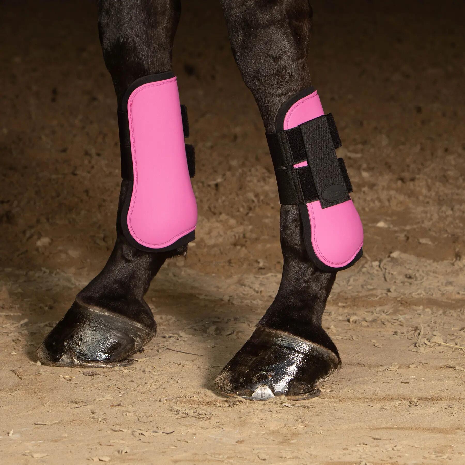Protezione di base per i tendini del cavallo Harry's Horse 2/2