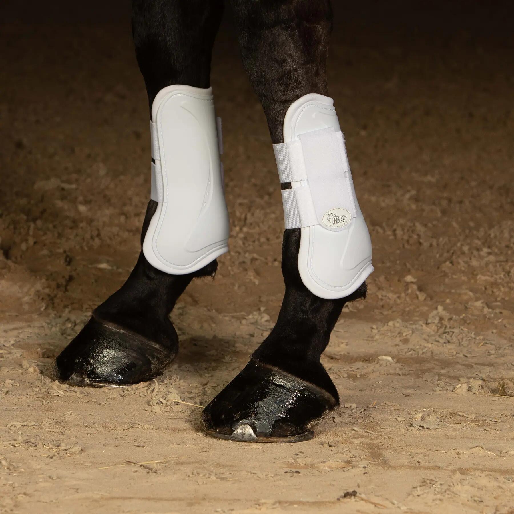 Protège-tendons pour cheval Harry's Horse Next 2/2