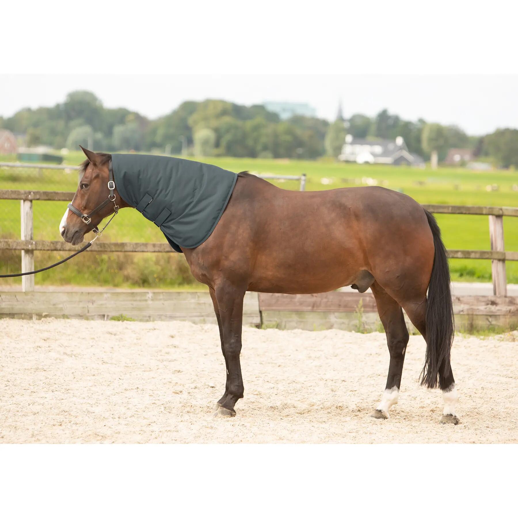 Ochraniacz na szyję dla konia Harry's Horse Thor 200g 2/2