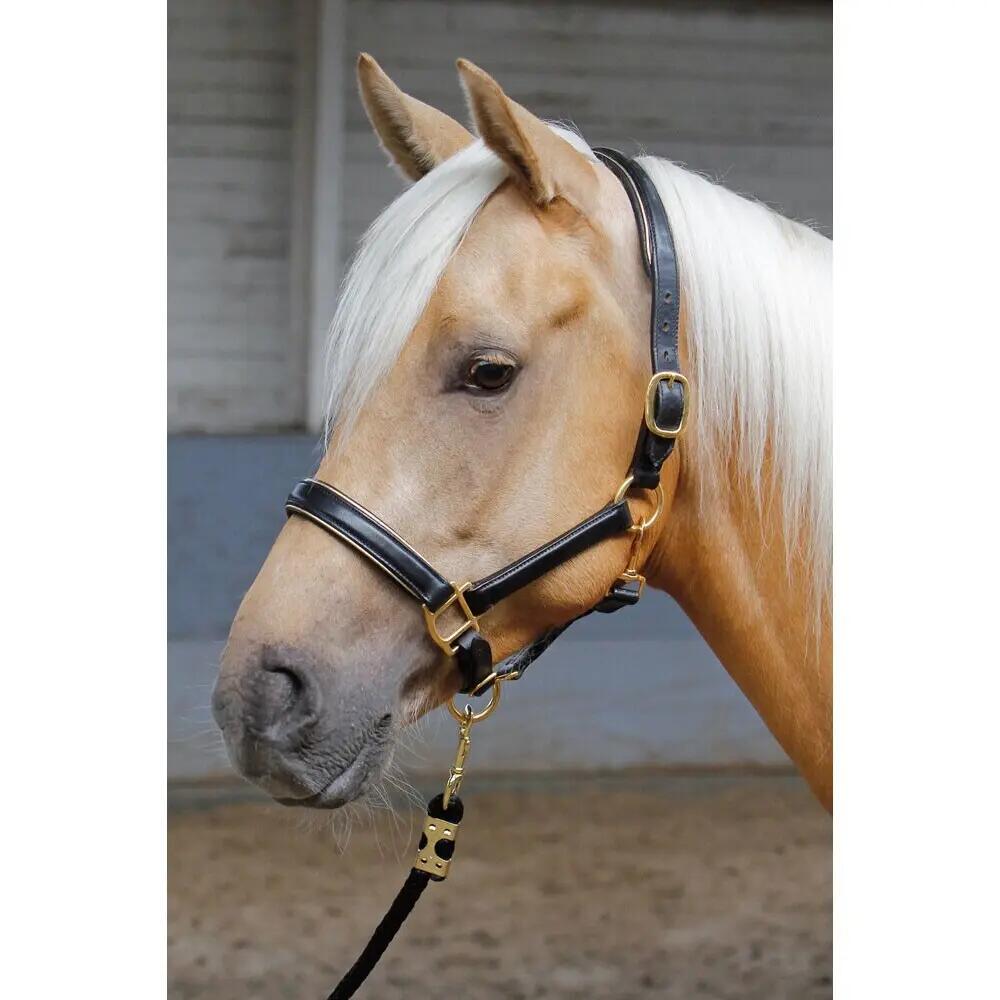 Licol en cuir doré ou argent - Harry's Horse 2/2
