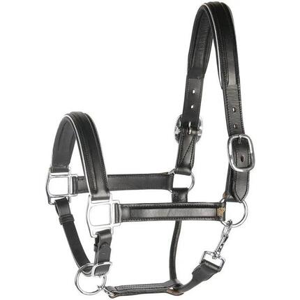 Licol en cuir doré ou argent - Harry's Horse
