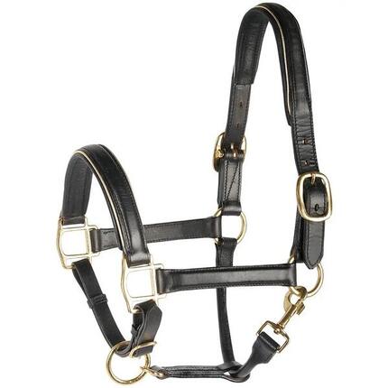 Licol en cuir doré ou argent - Harry's Horse