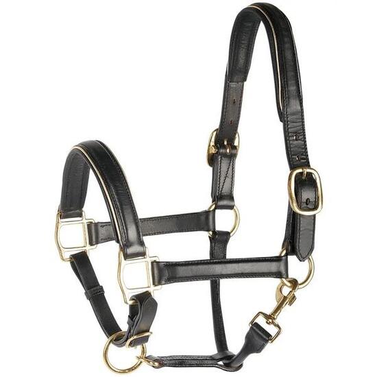 Licol pour cheval en cuir avec passepoil Harry's Horse