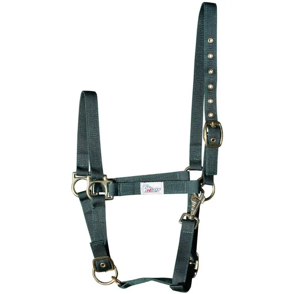 HARRYS HORSE picture