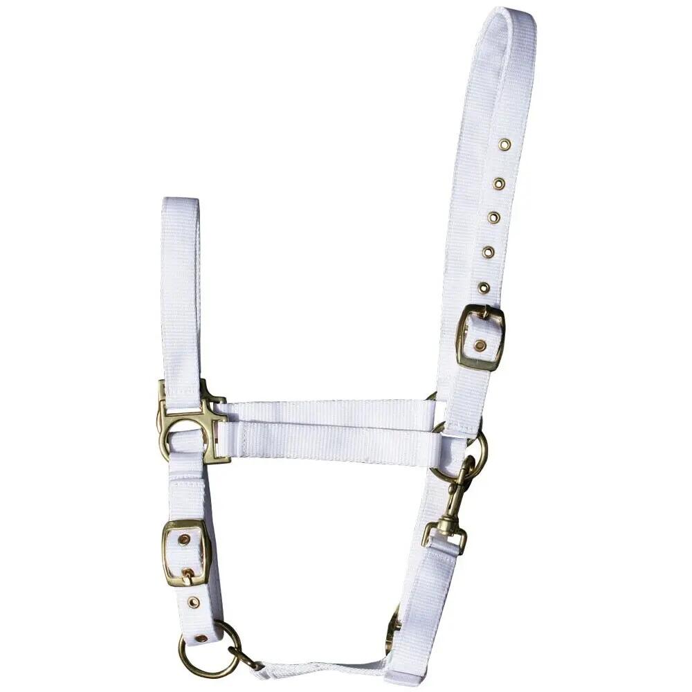 Cavezza per cavalli Harry's Horse 1/1