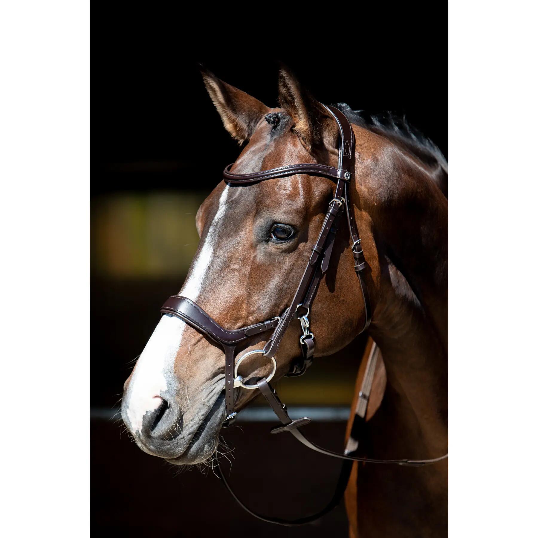 Bridas para caballos Harry's Horse Release 2/5