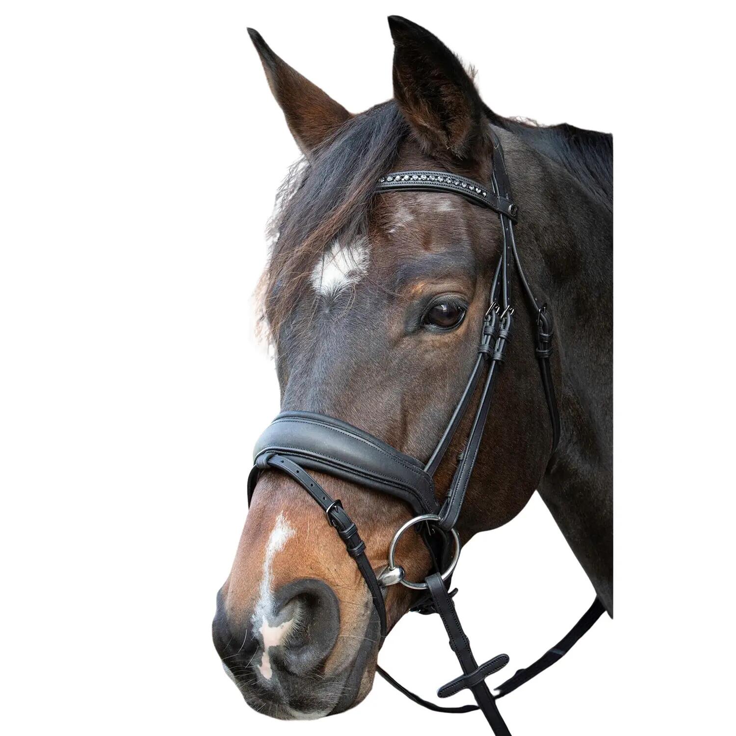 Cabezada sin bocado para caballos Harry's Horse Soft Bombastic 2/3