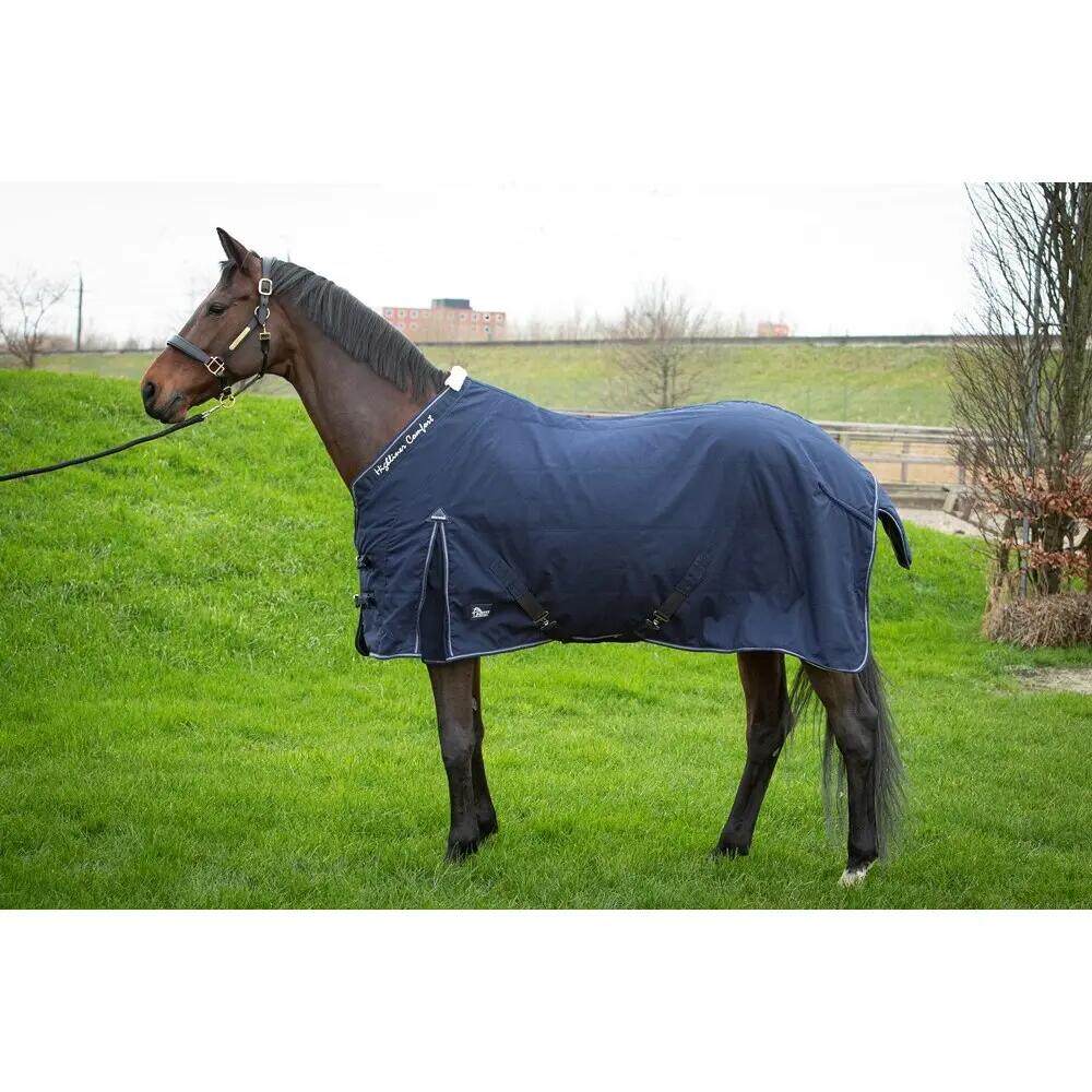 HARRYS HORSE picture