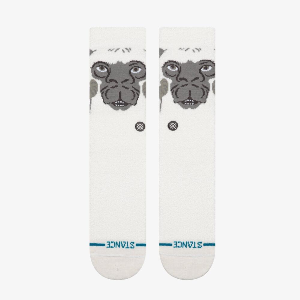 STANCE picture