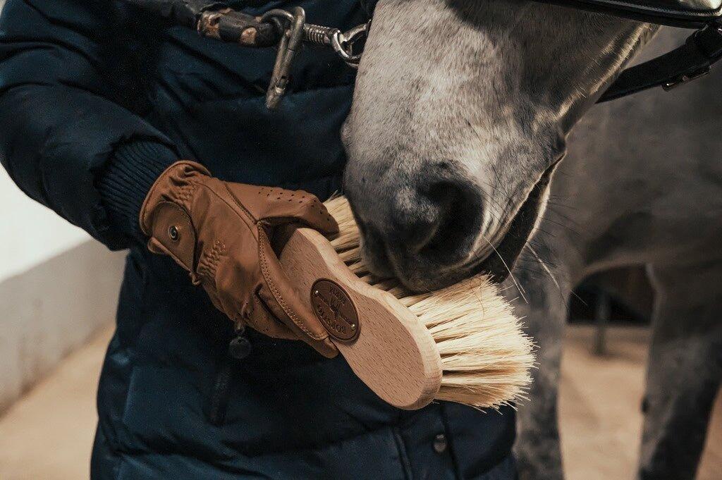 Brosse Infini Cactus - BORSTIQ FARM 2/2