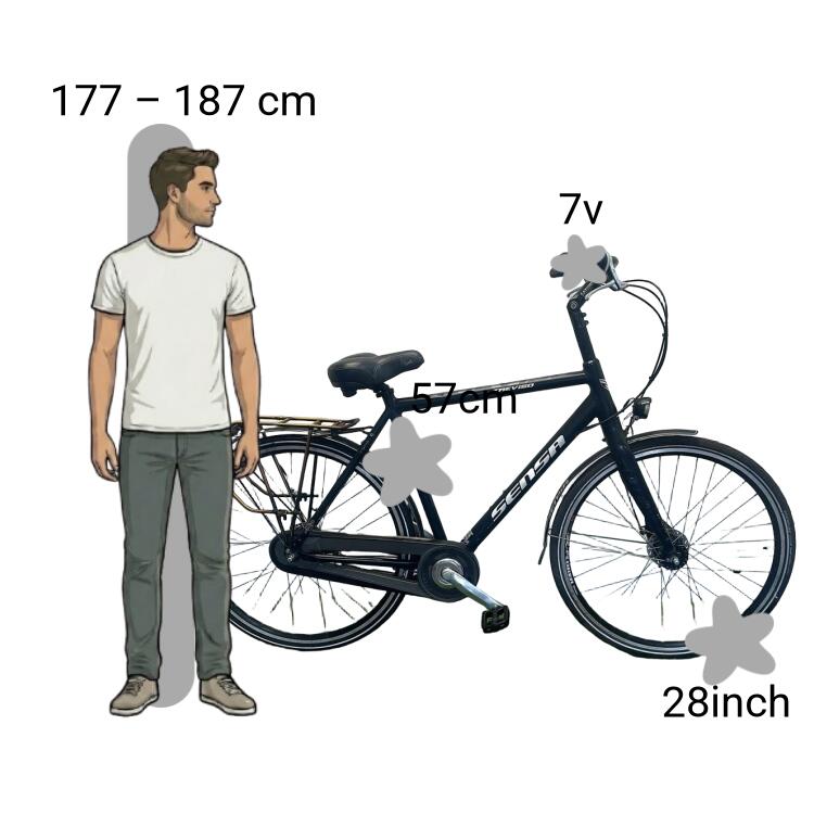Bicicleta usada Sensa Treviso 2/4