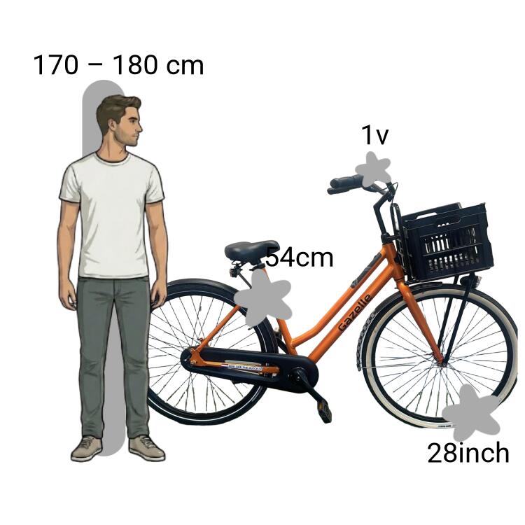 Bicicletta usata Gazelle Transporfiets 2/4