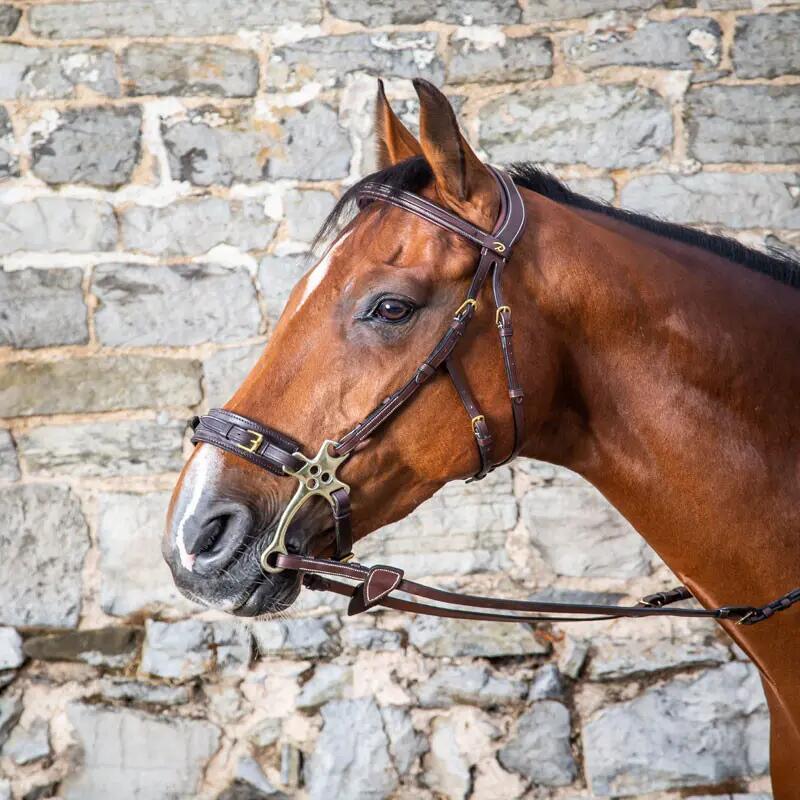 Hackamore voor paard Dy'on 2/3
