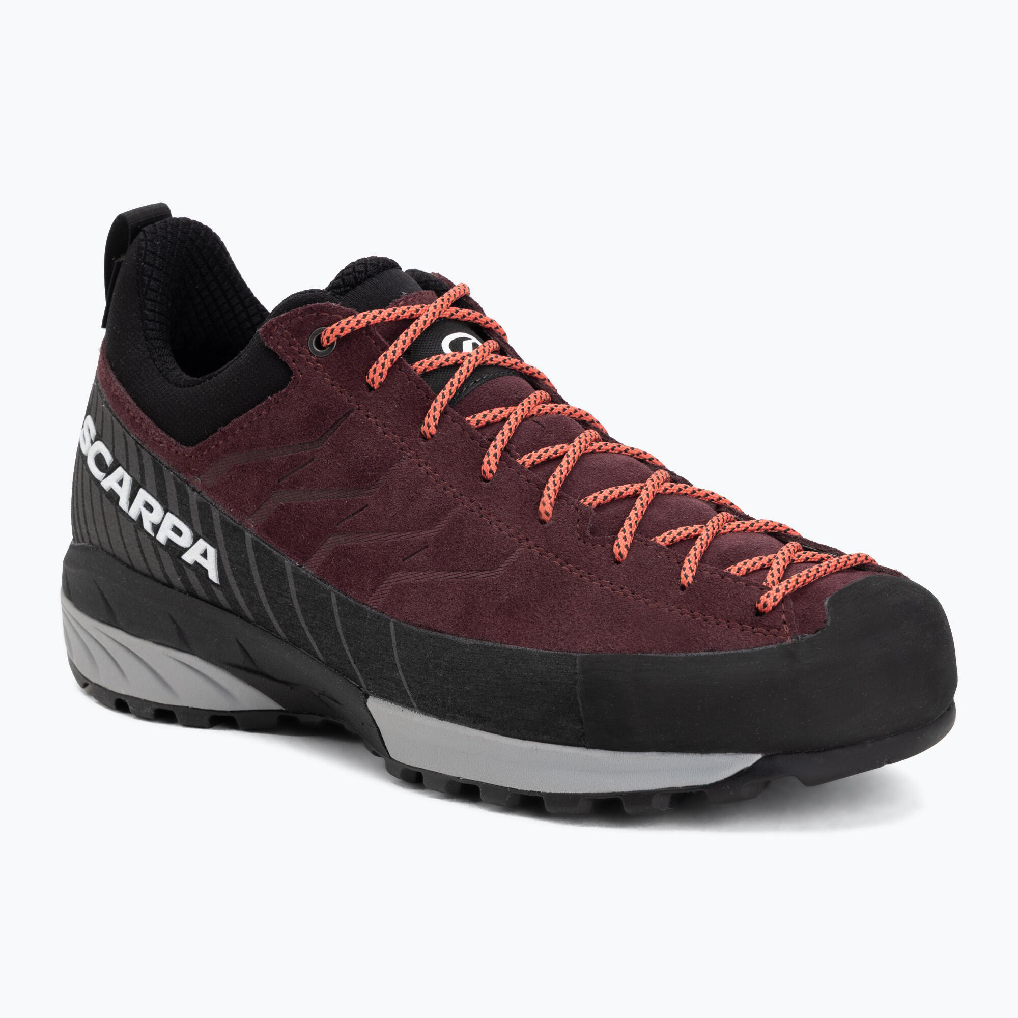 SCARPA picture