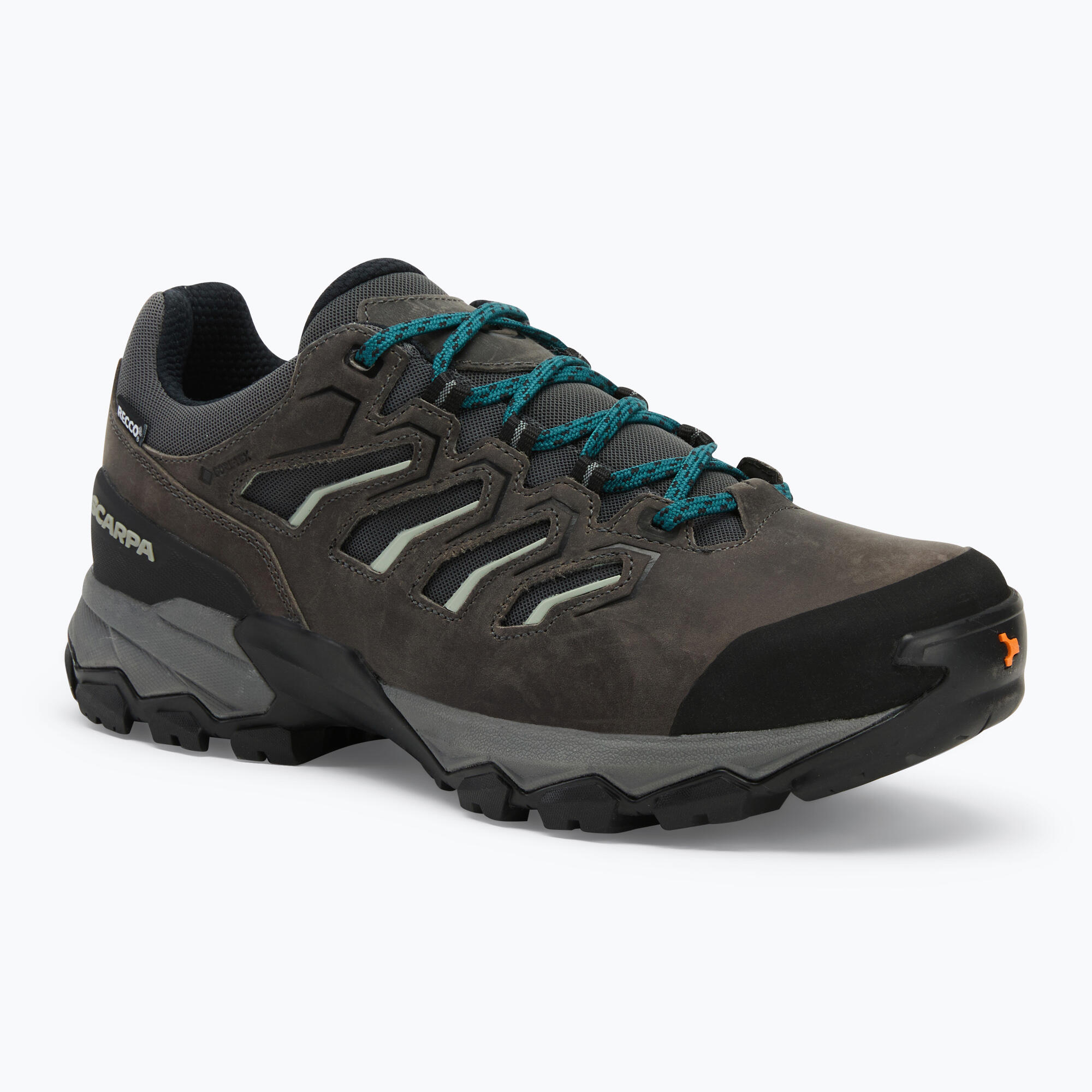 SCARPA picture