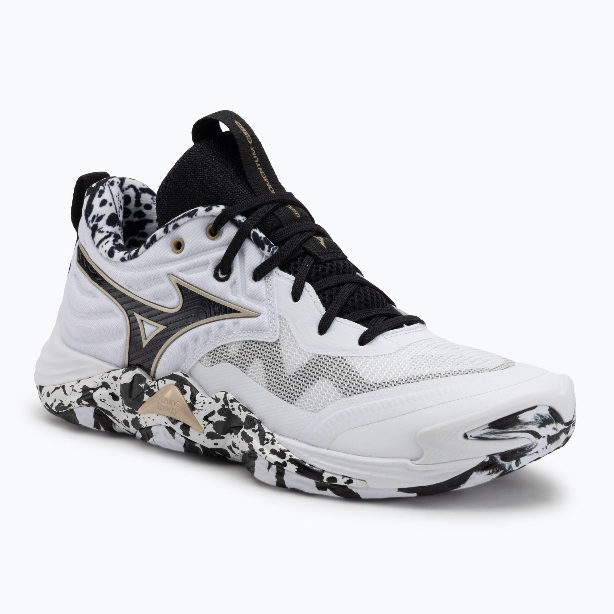 MIZUNO picture