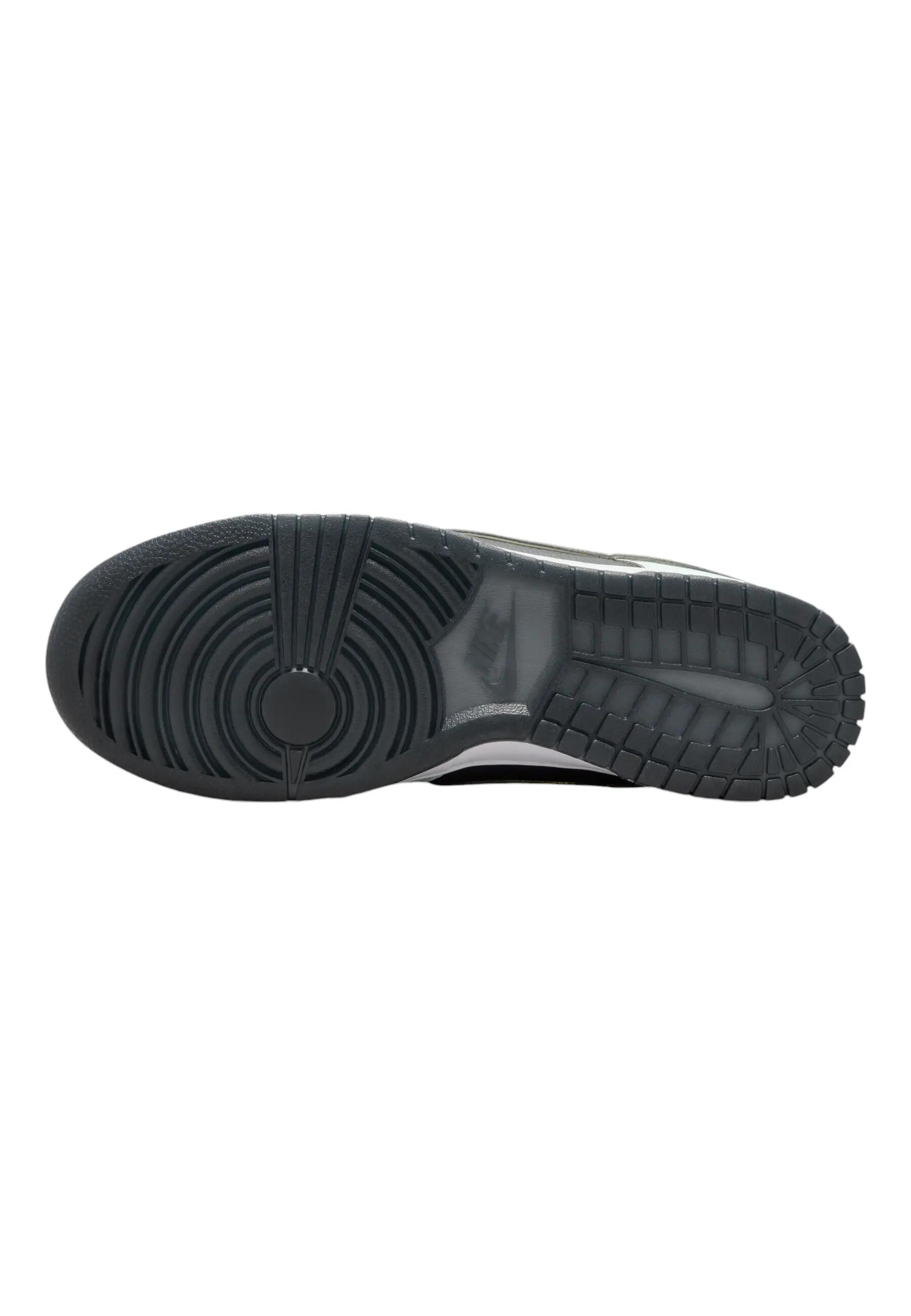 Sneakers Nike Sportswear NIKE DUNK LOW RETRO PRM 6/6