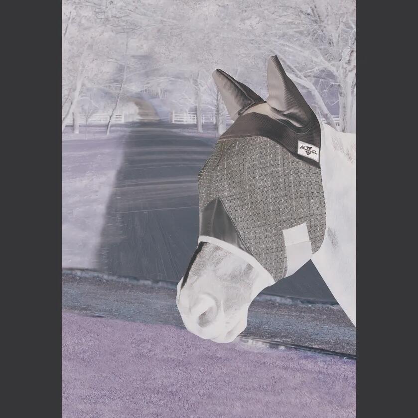 Masque anti-mouches pour cheval sans cache-oreilles Professional's Choice 2/2