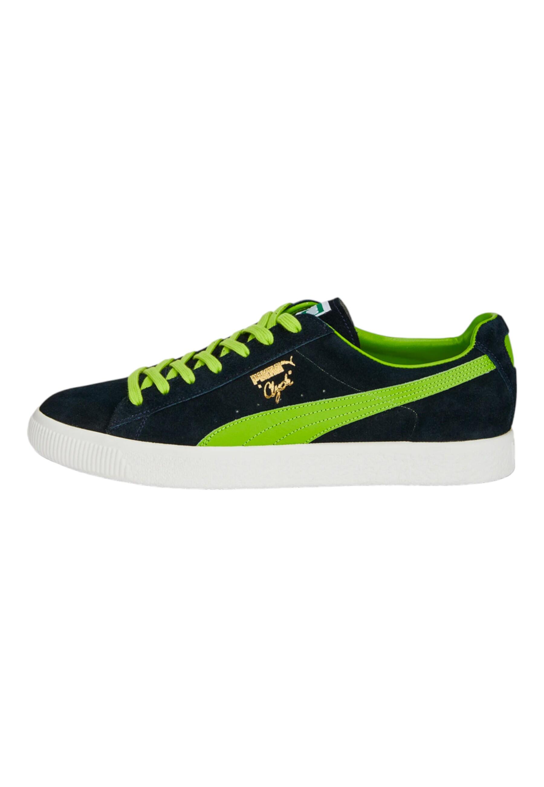 PUMA picture