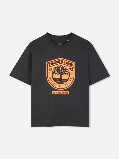 Tee Shirt Garçon Timberland T60791 066 Fusain