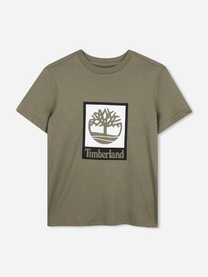 Tee Shirt Garçon Timberland T60969 724 Tilleul