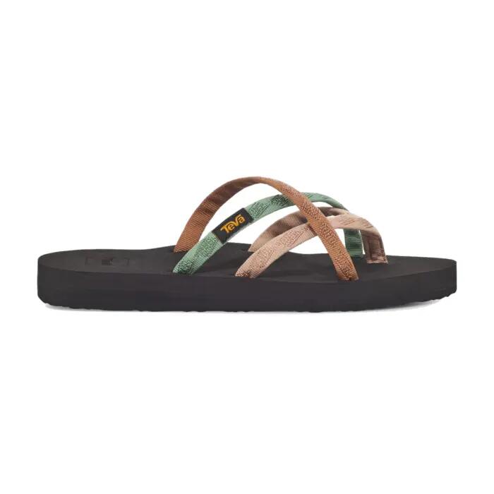 TEVA picture