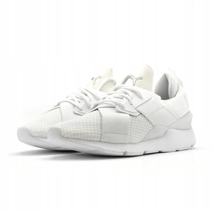 PUMA picture