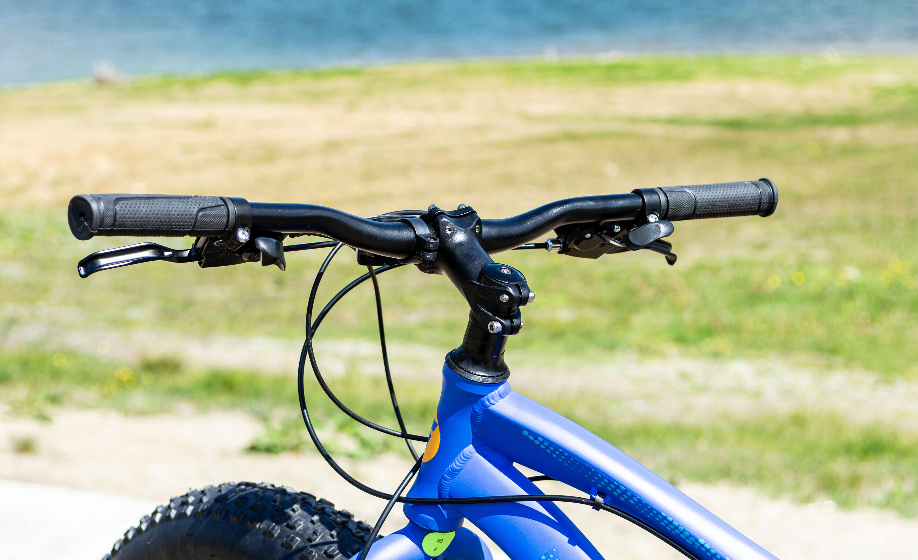 Rower FatBike Traffic Koła 26" 6/7