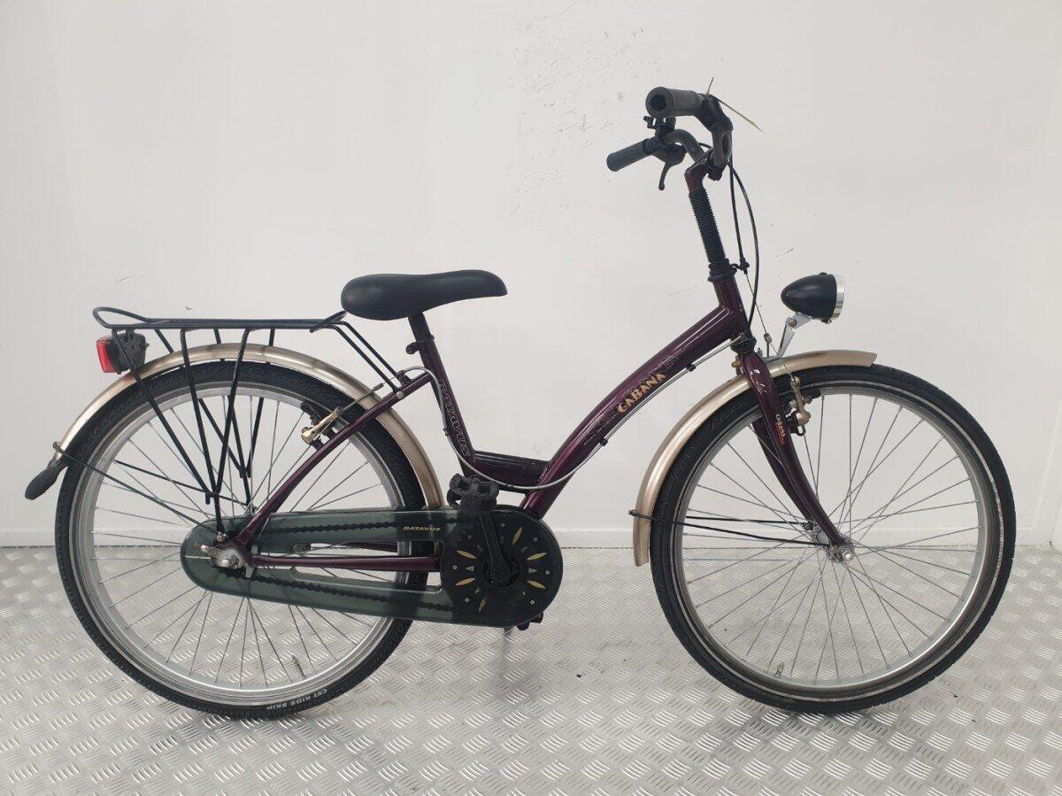 BATAVUS picture
