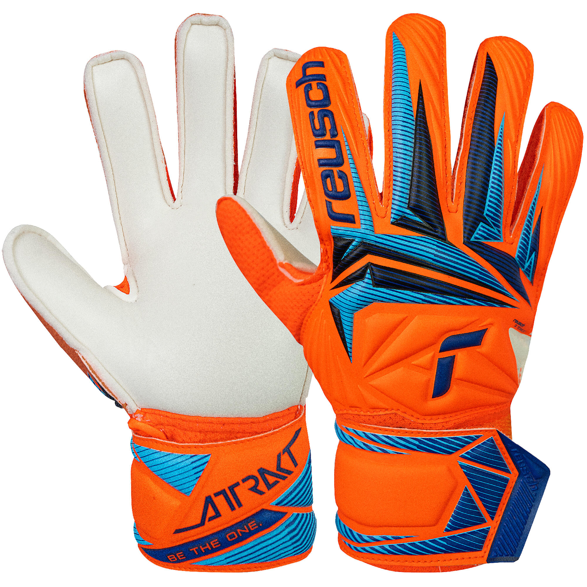 REUSCH picture