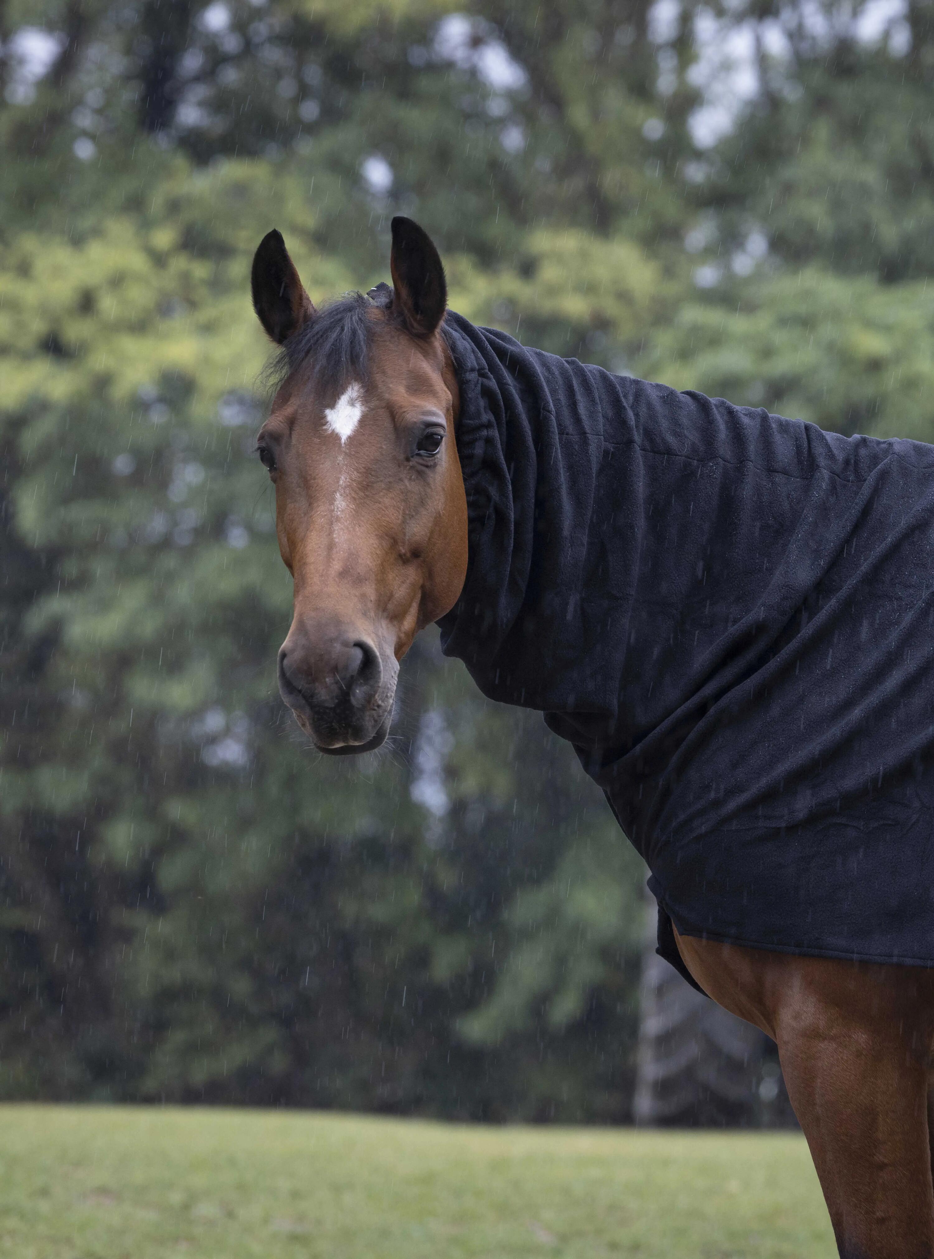 EQUITHÈME picture