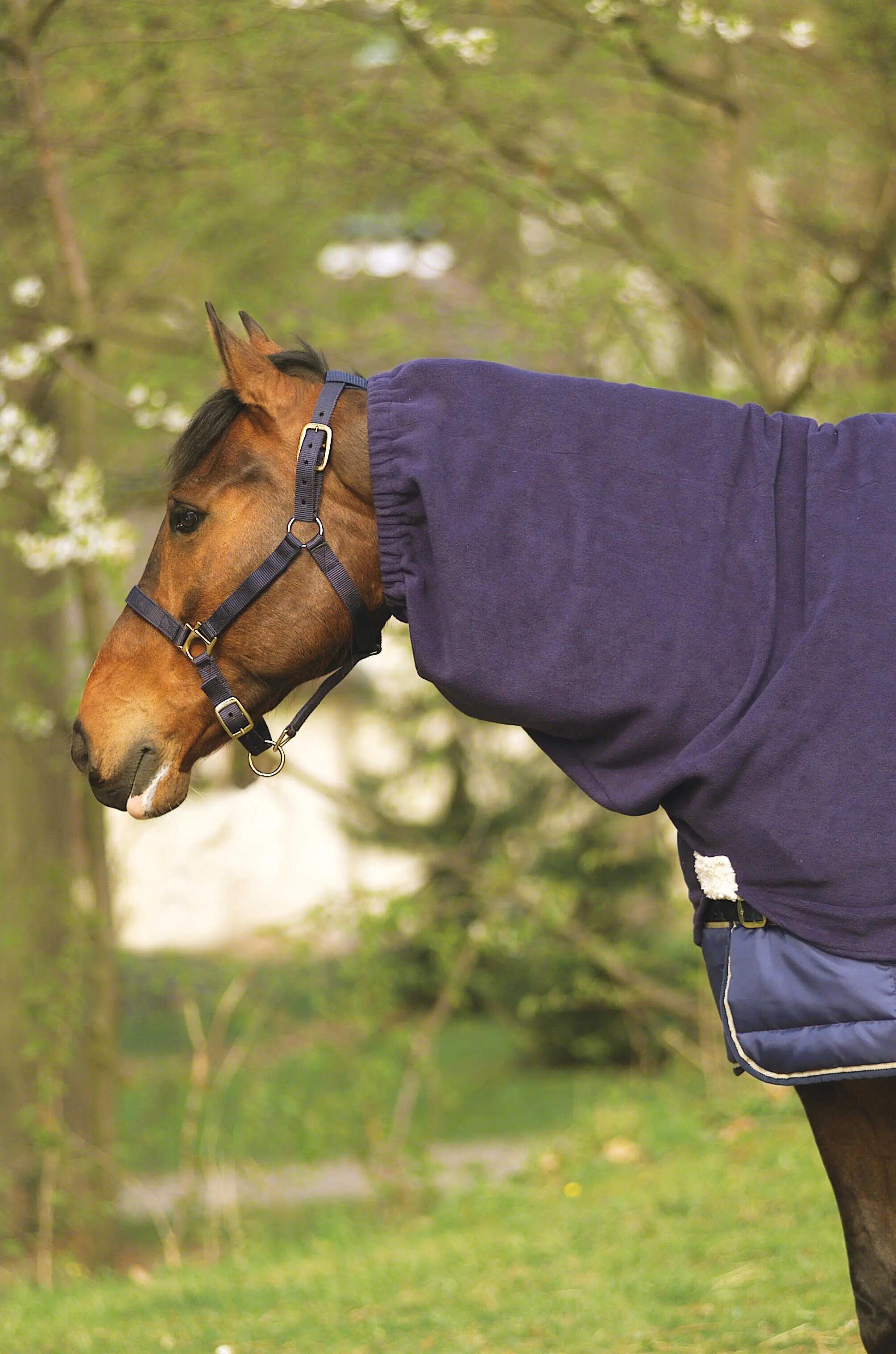 Couvre-cou polaire - EQUITHEME 2/2