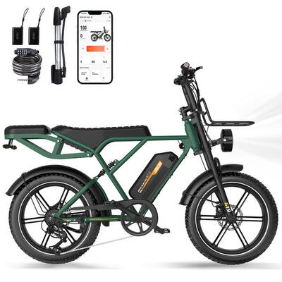 E-fiets lithium volwassenen rcb g19 koppelsensor, bereik 120-130km hydr.rem