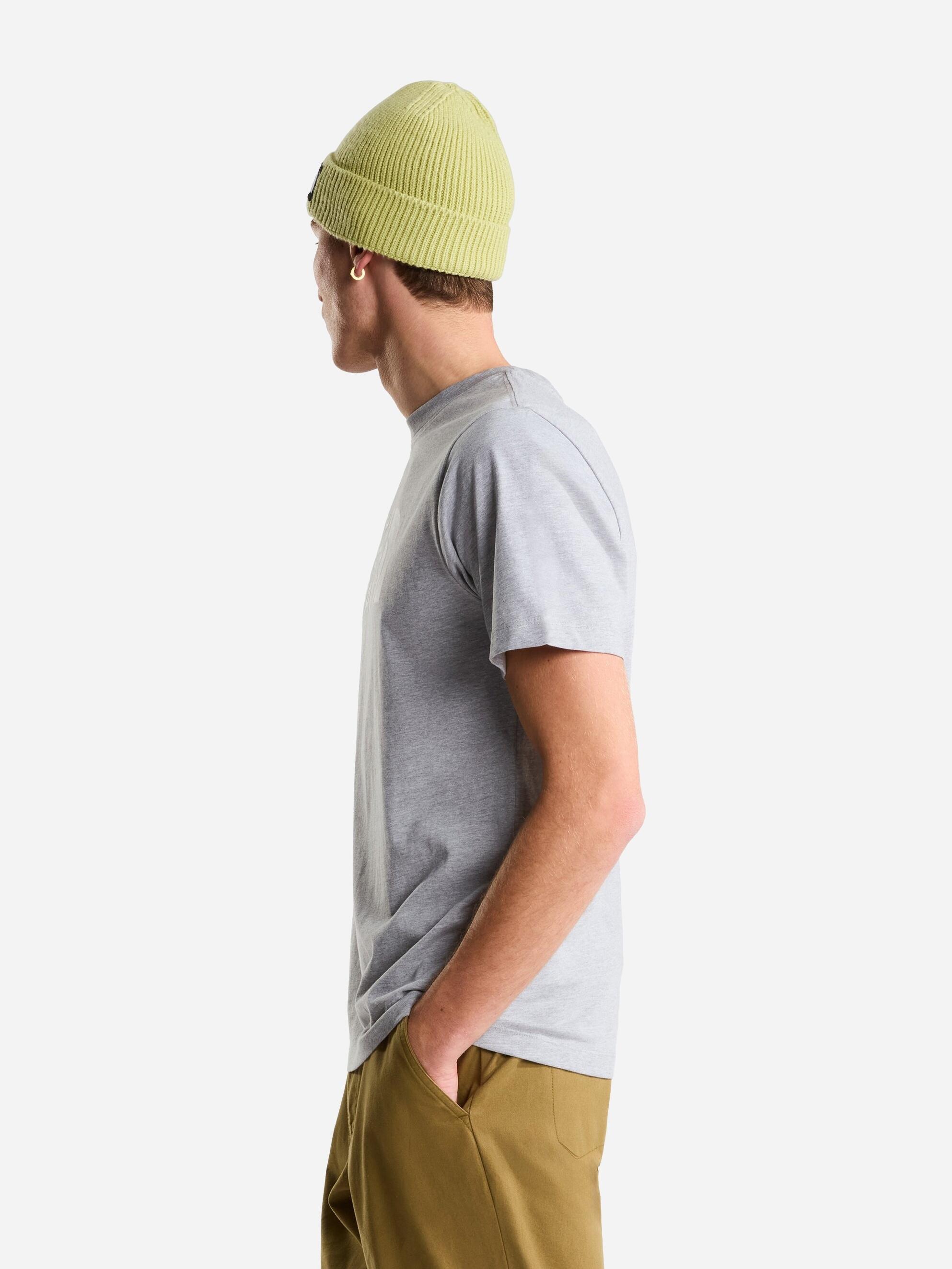Tee Shirt The North Face M Evo Hlf Dme Reg Ss Tee Nf0a8b6jcu7 Pale Grey 4/6
