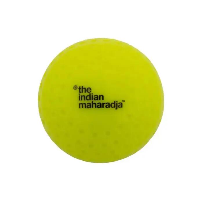 THE INDIAN MAHARADJA picture