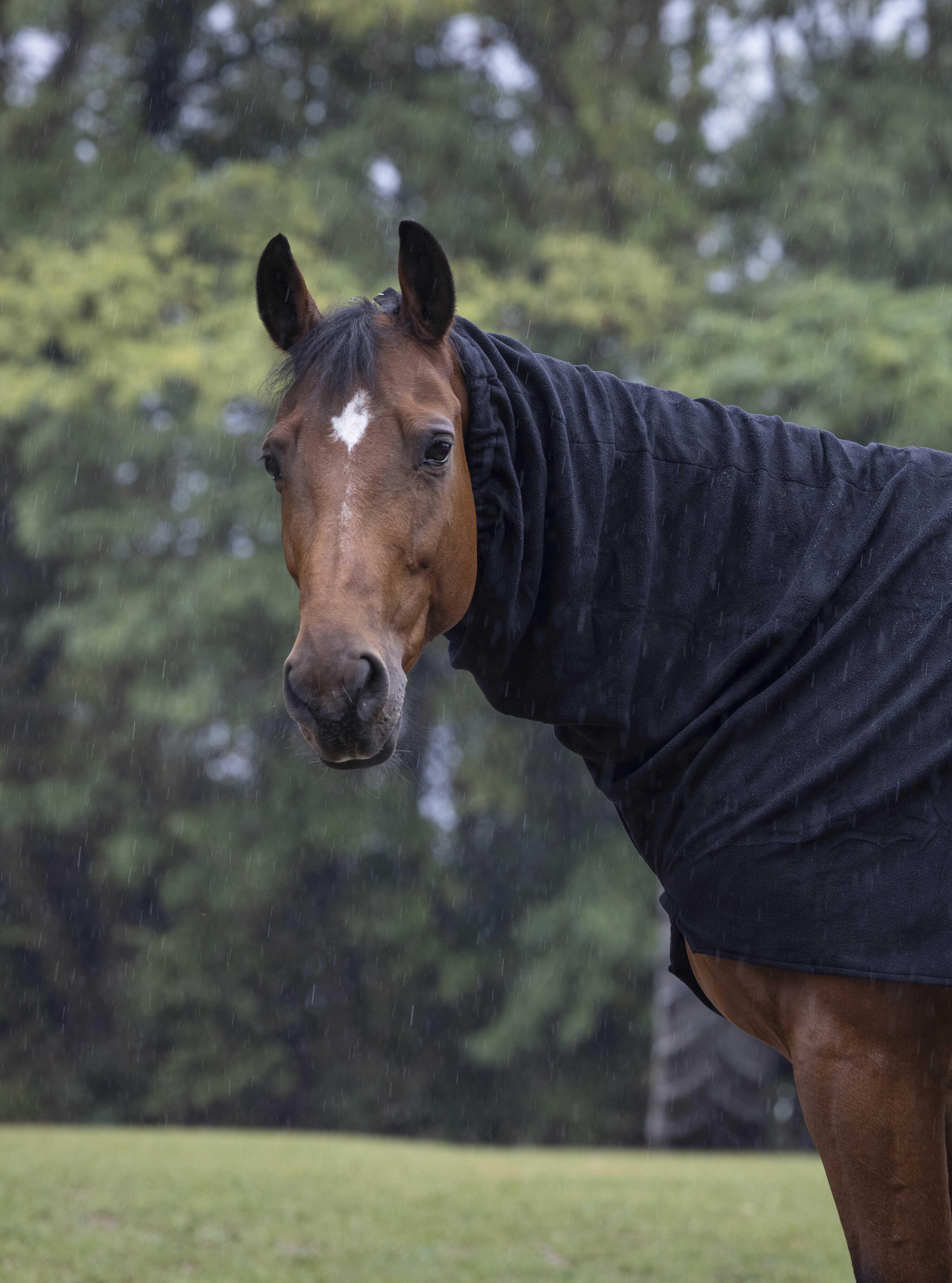 EQUITHÈME picture