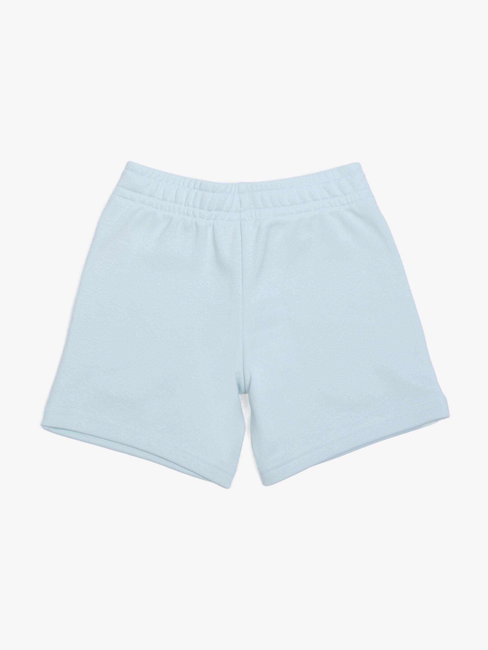 Short garçon Puma 685826 Ess 2 Color 50 Peaceful Blue 2/3