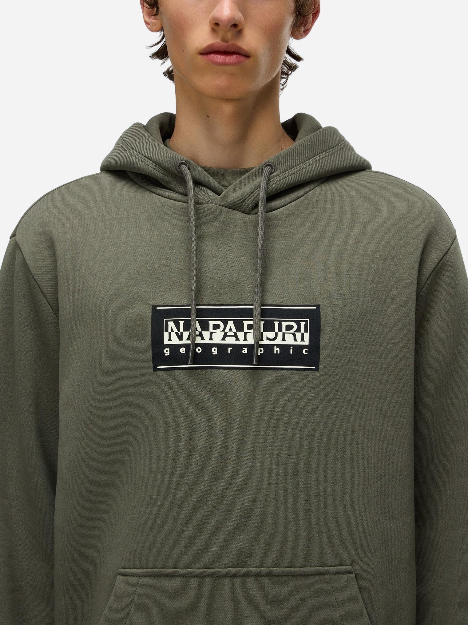 Sweat Napapijri B-box Logo Tea Leaf Goa 3/7