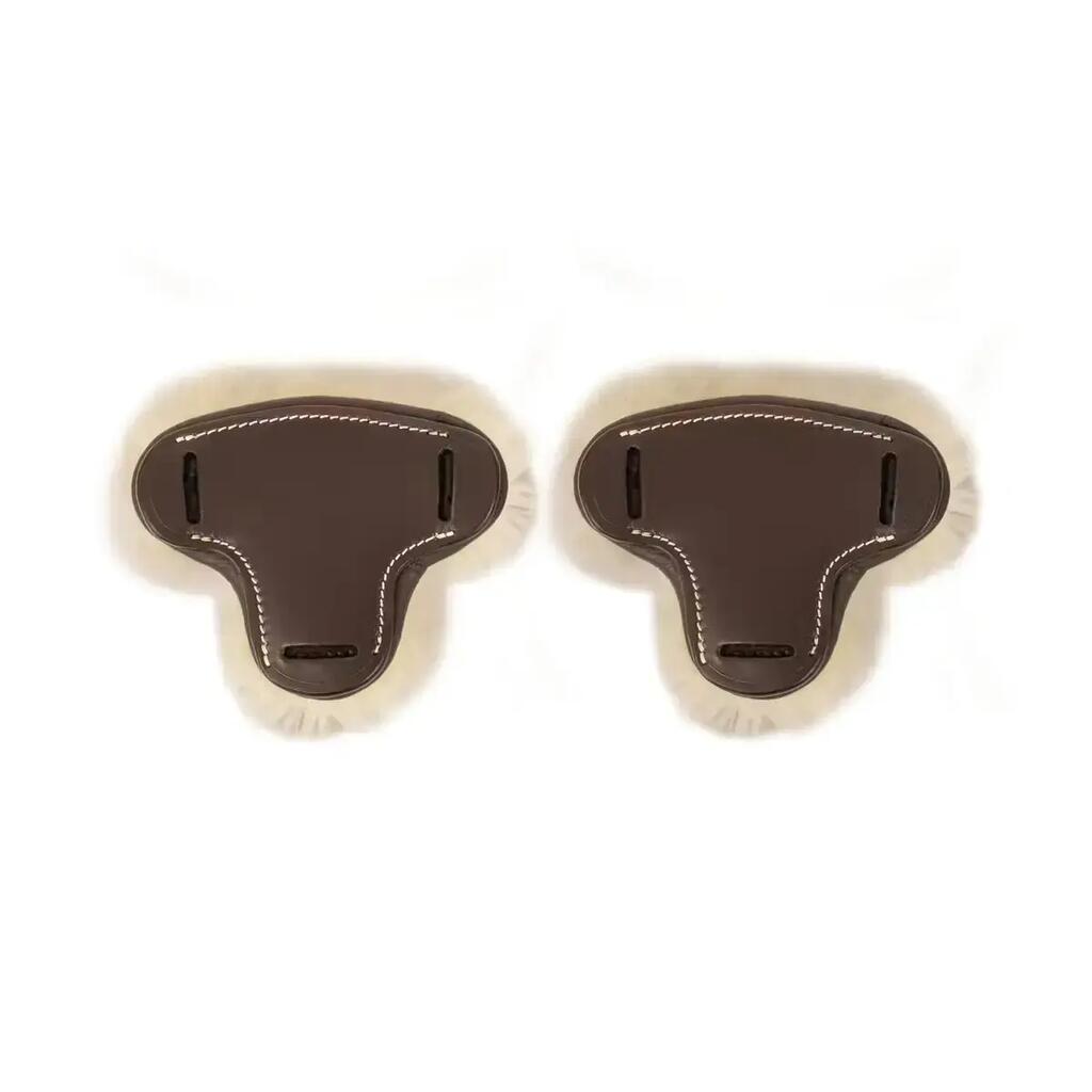 Protection Hackamore for Horse in T Dy'on
