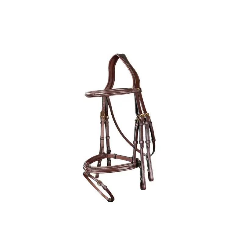 Combined riding bridle and noseband Dy'on Flash