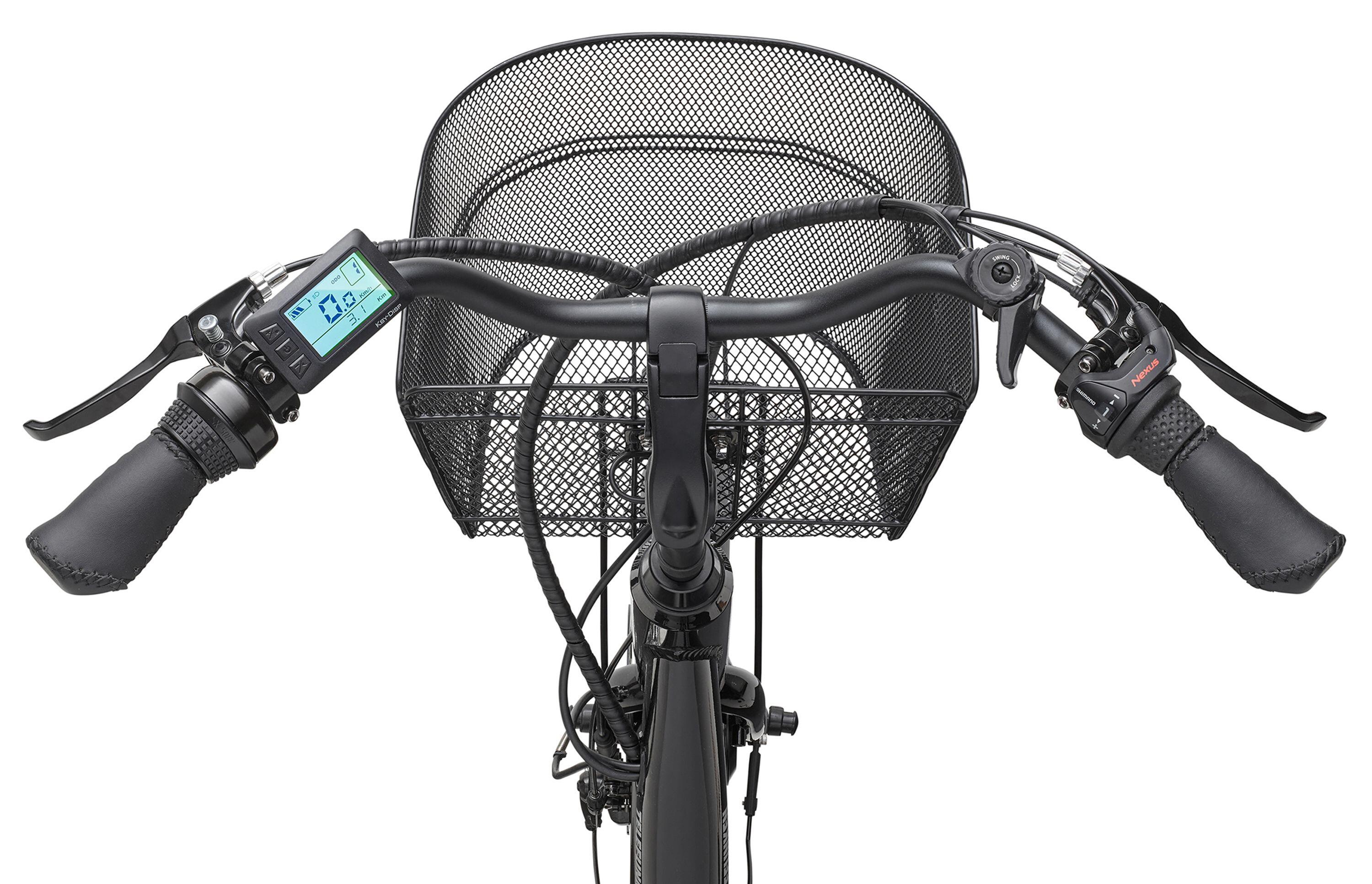E-Bike TC550 20 Zoll 3-Gang Pedelec Dreirad Cargo Elektrofahrrad E-Dreirad 3/3