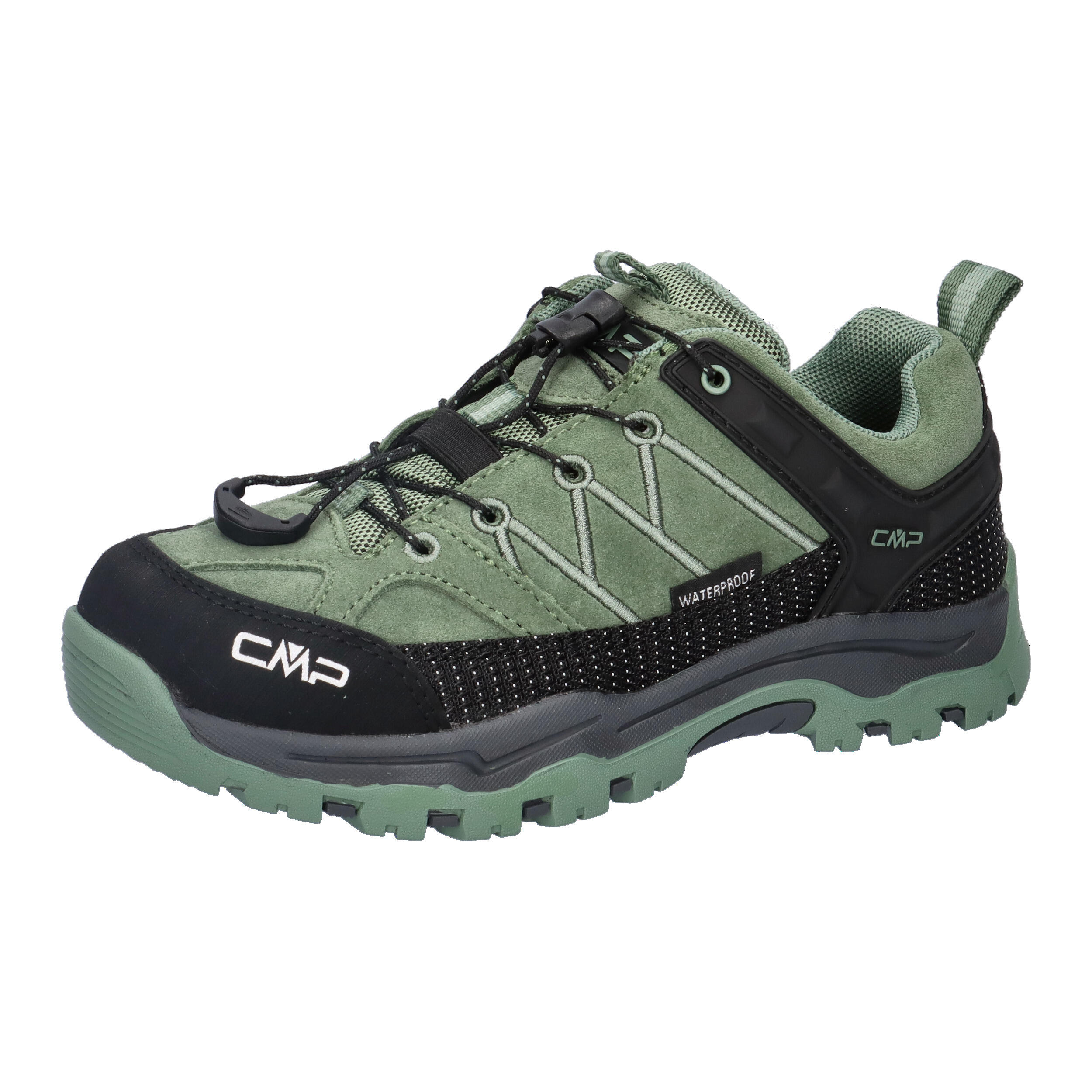 CMP picture