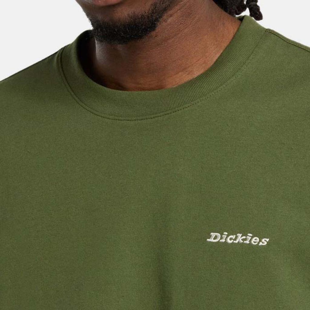 Dickies T-shirt Loretto Uomo DK0A89ENK721 3/5