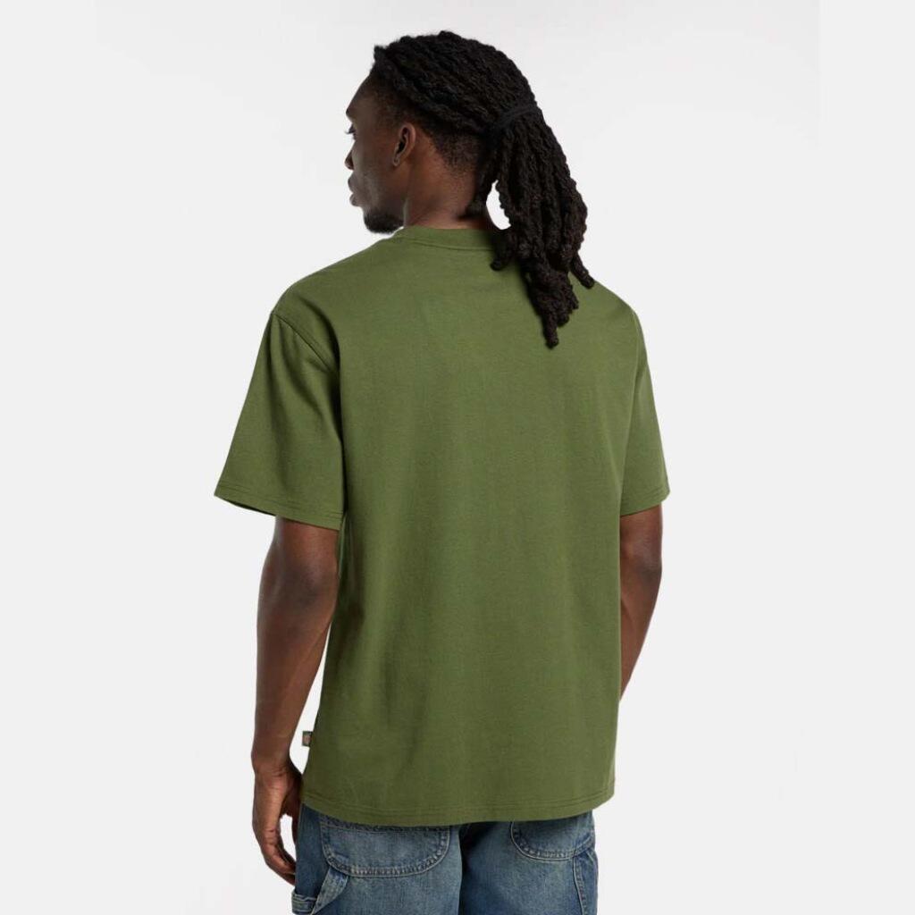 Dickies T-shirt Loretto Uomo DK0A89ENK721 2/5