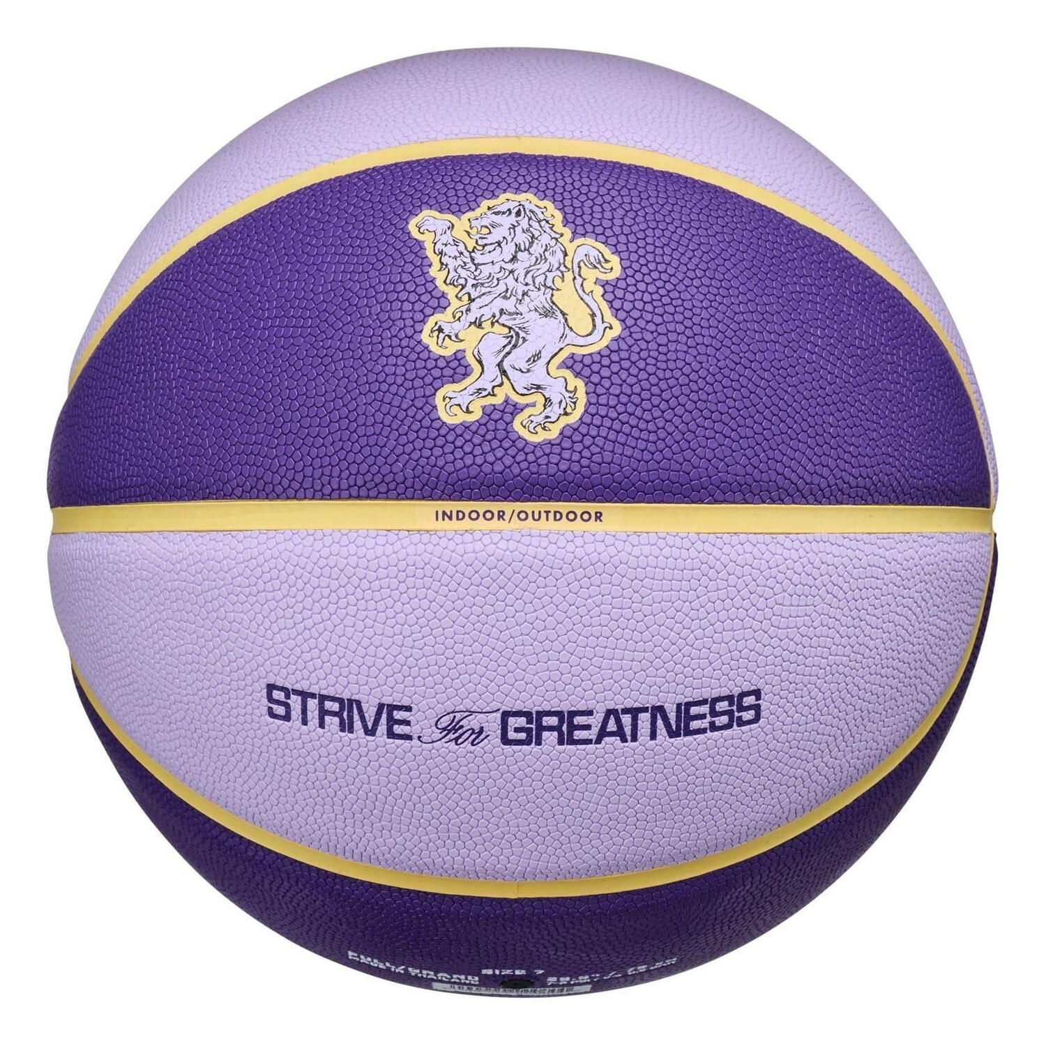 Pallacanestro Due Toni Nike LeBron Ortensia Viola Oro Viola 7 2/3