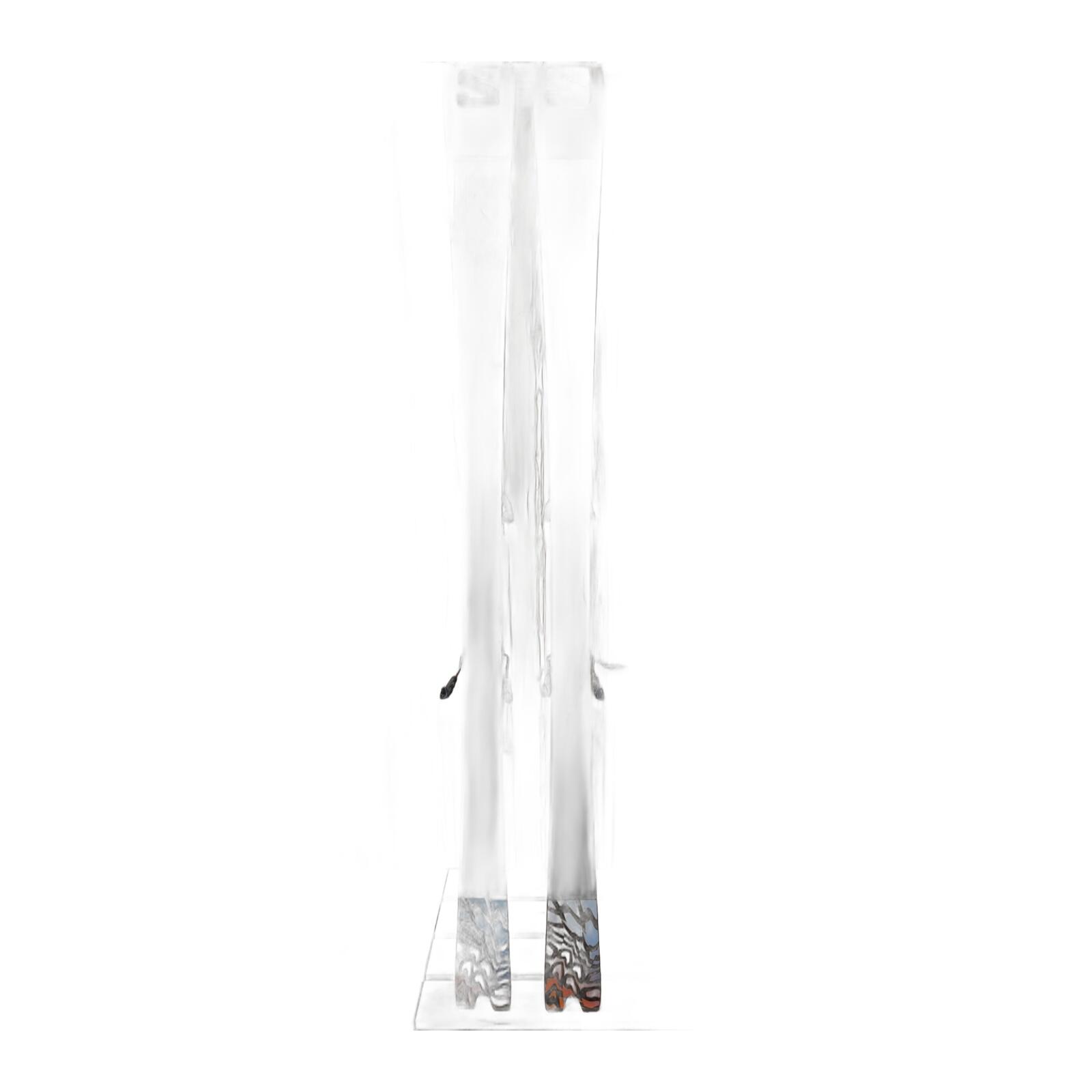 Salomon ADDIKT 2024 - 170 cm 3/3