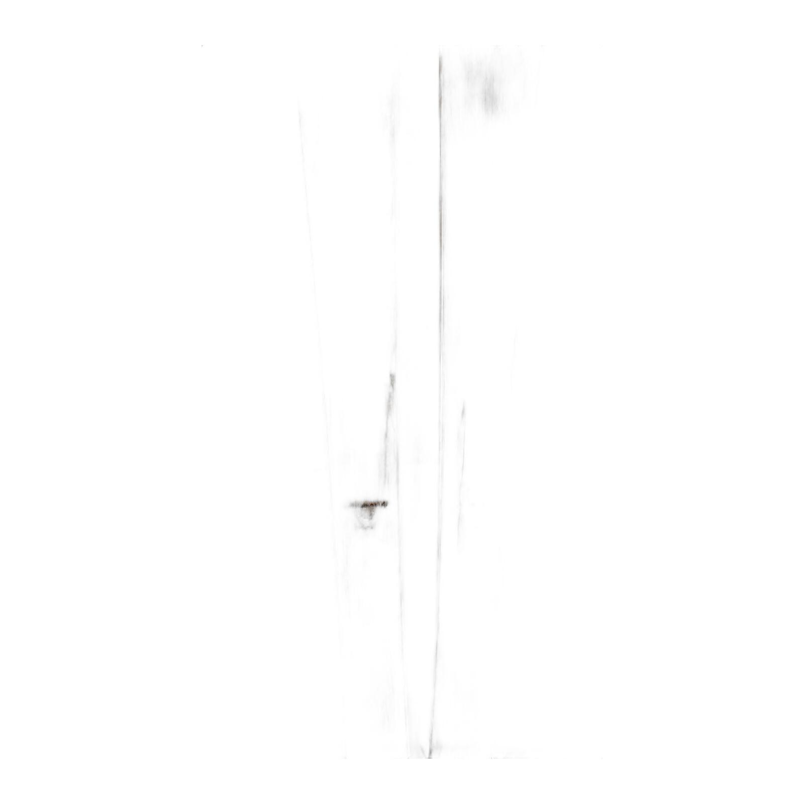 Rip'n Wud GtX Carve Neuf Nu - 160 cm 2/3