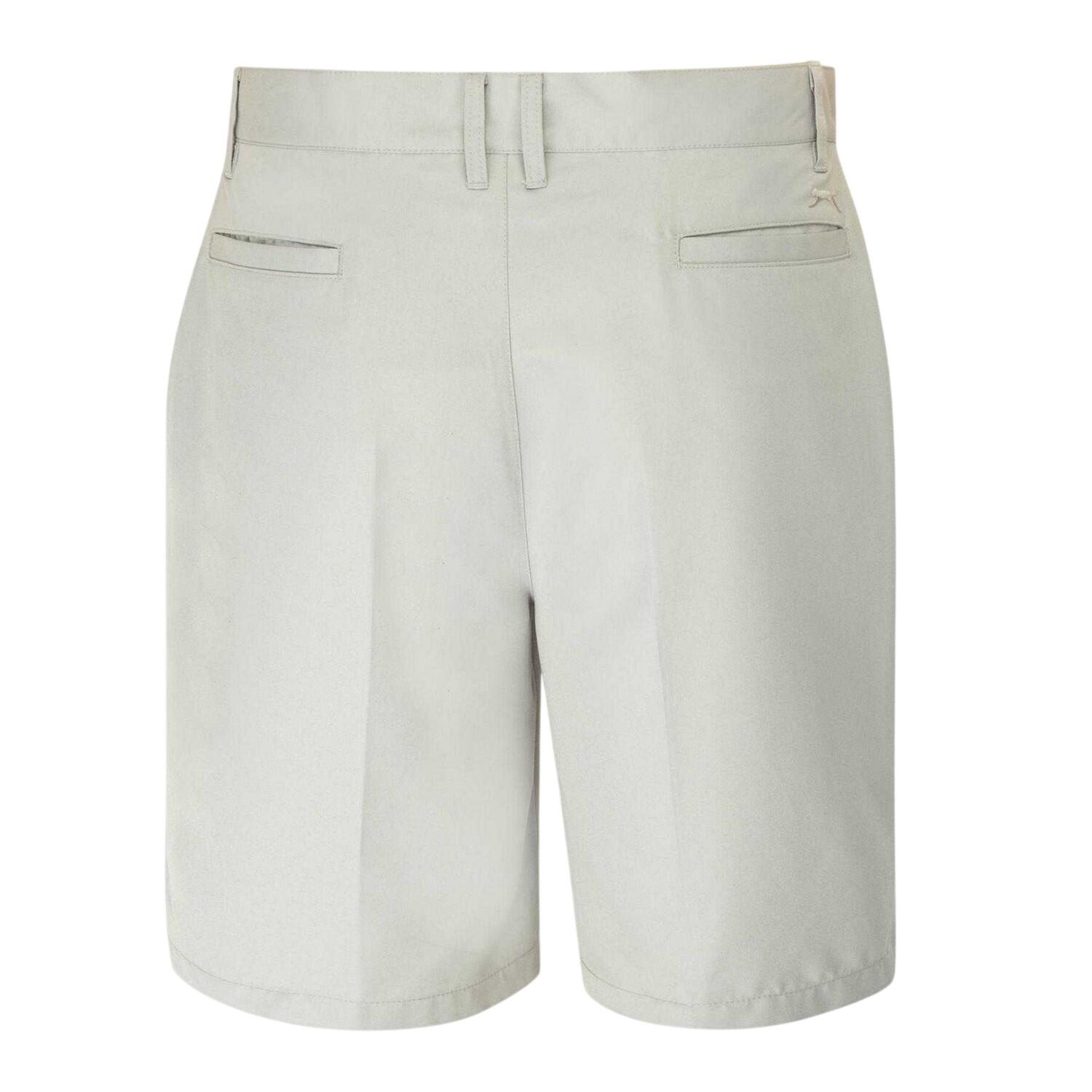 Shorts für Herren Hellgrau 2/2