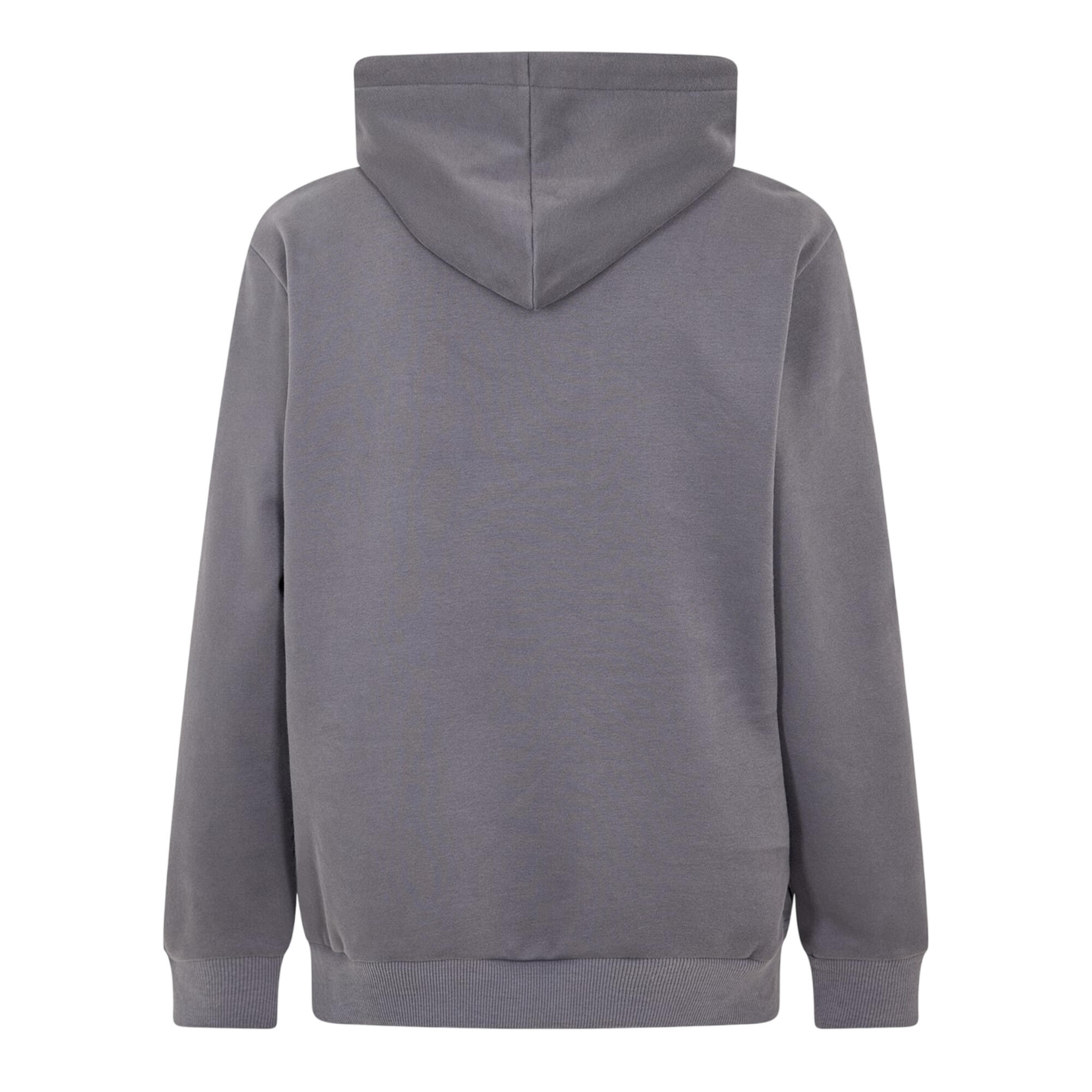 Unisex Adult Hampton Pullover Hoodie (Blackened Pearl) 2/3