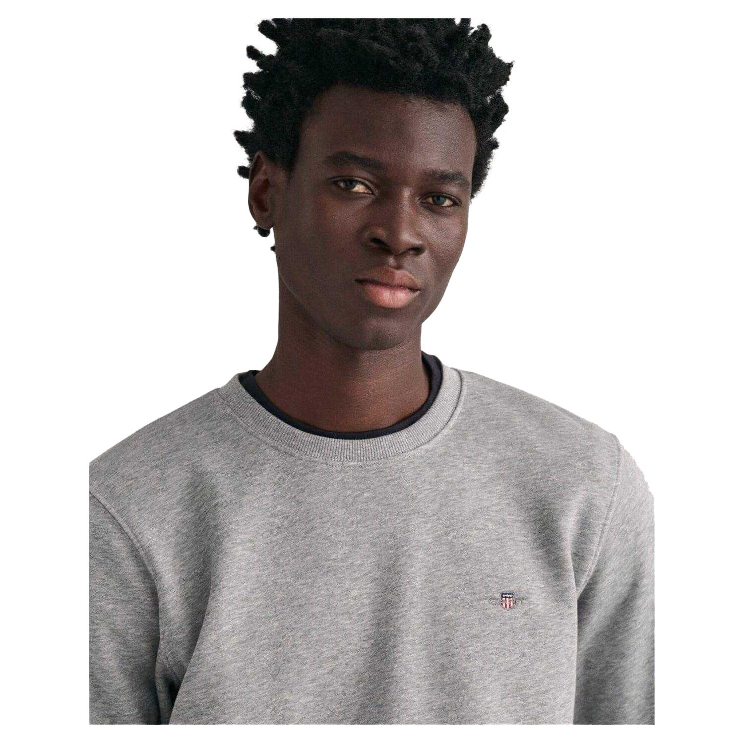 Felpa Girocollo Uomo Gant Grigio 4/5